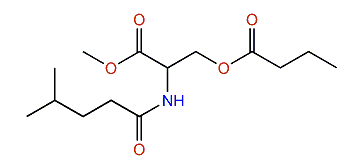 N-4-Methylvaleroyl-O-butyroyl-L-serine methyl ester